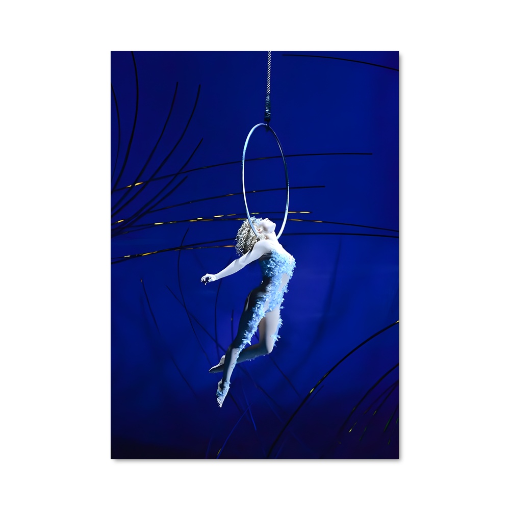 Poster Cirque soleil cerceau
